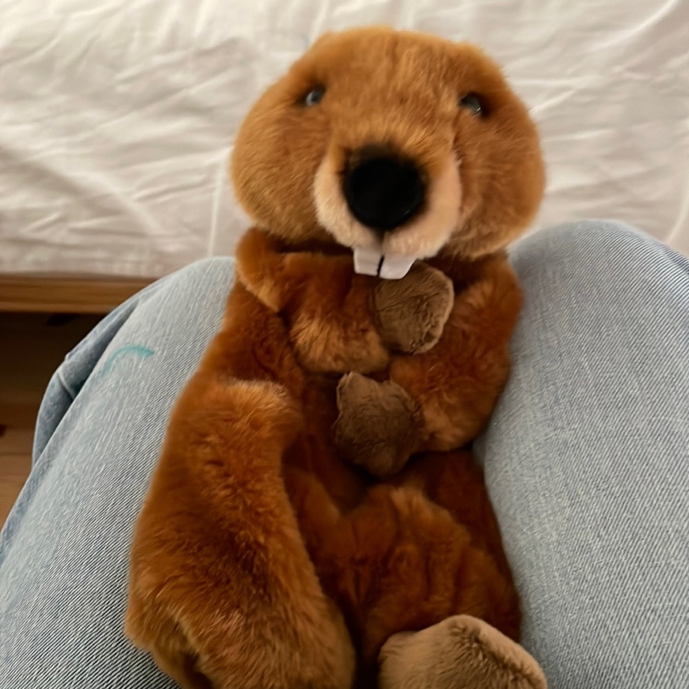 Beaver Hand Puppet